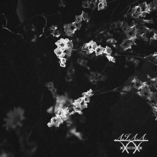 AIAA 7 : Flores en Mayo